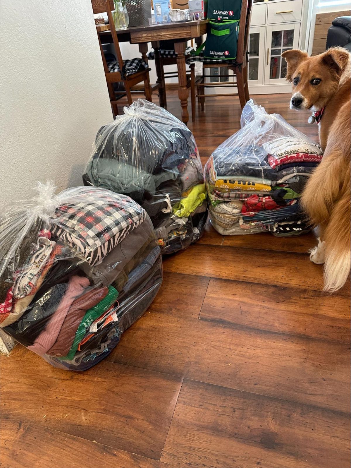 Efficiency Experiment: Laundry Pickup and Delivery Service