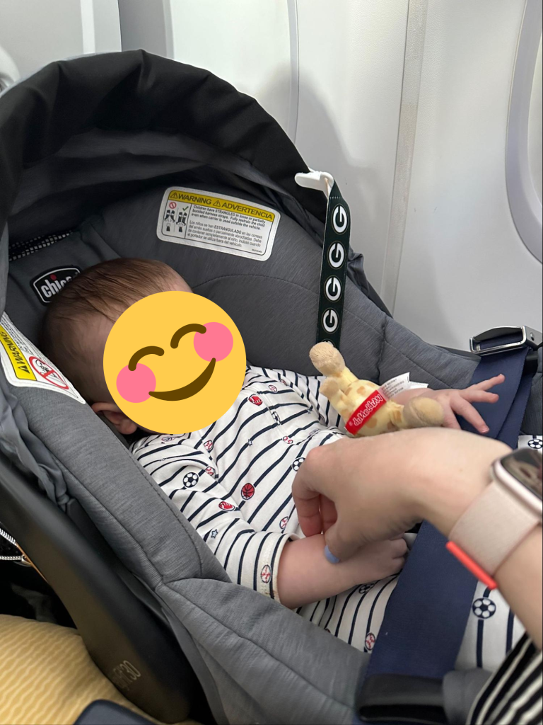 Air travel with infant tips - buying an infant seat